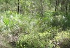 Macquarie Marshessustainable-landscaping-21.jpg; ?>